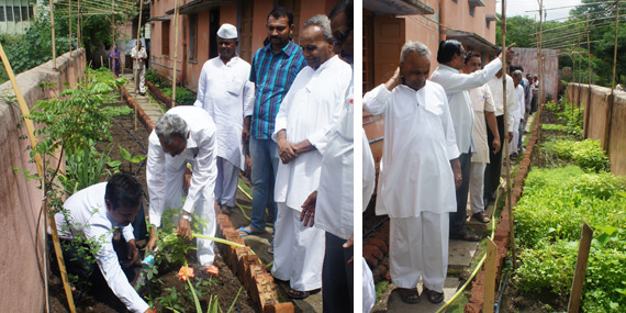 Sri Basavaraj Patil & Chandrashekhar tallalli inaugurated the Kitchen Gardena at Parishudh office